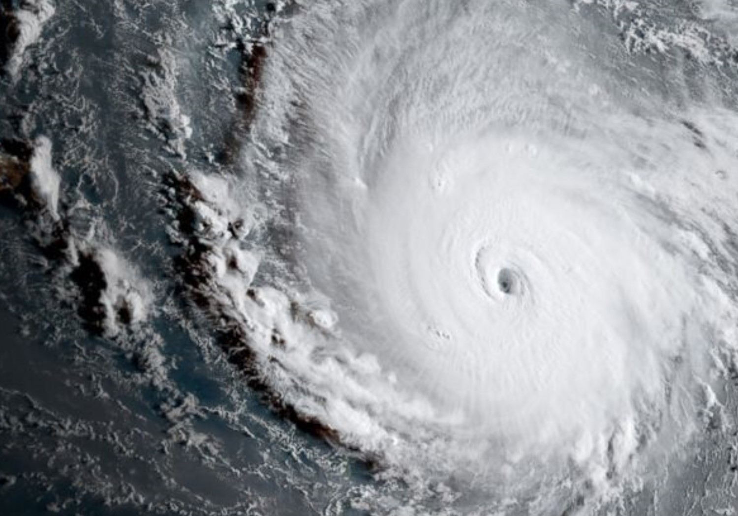 Image of hurricane Irma